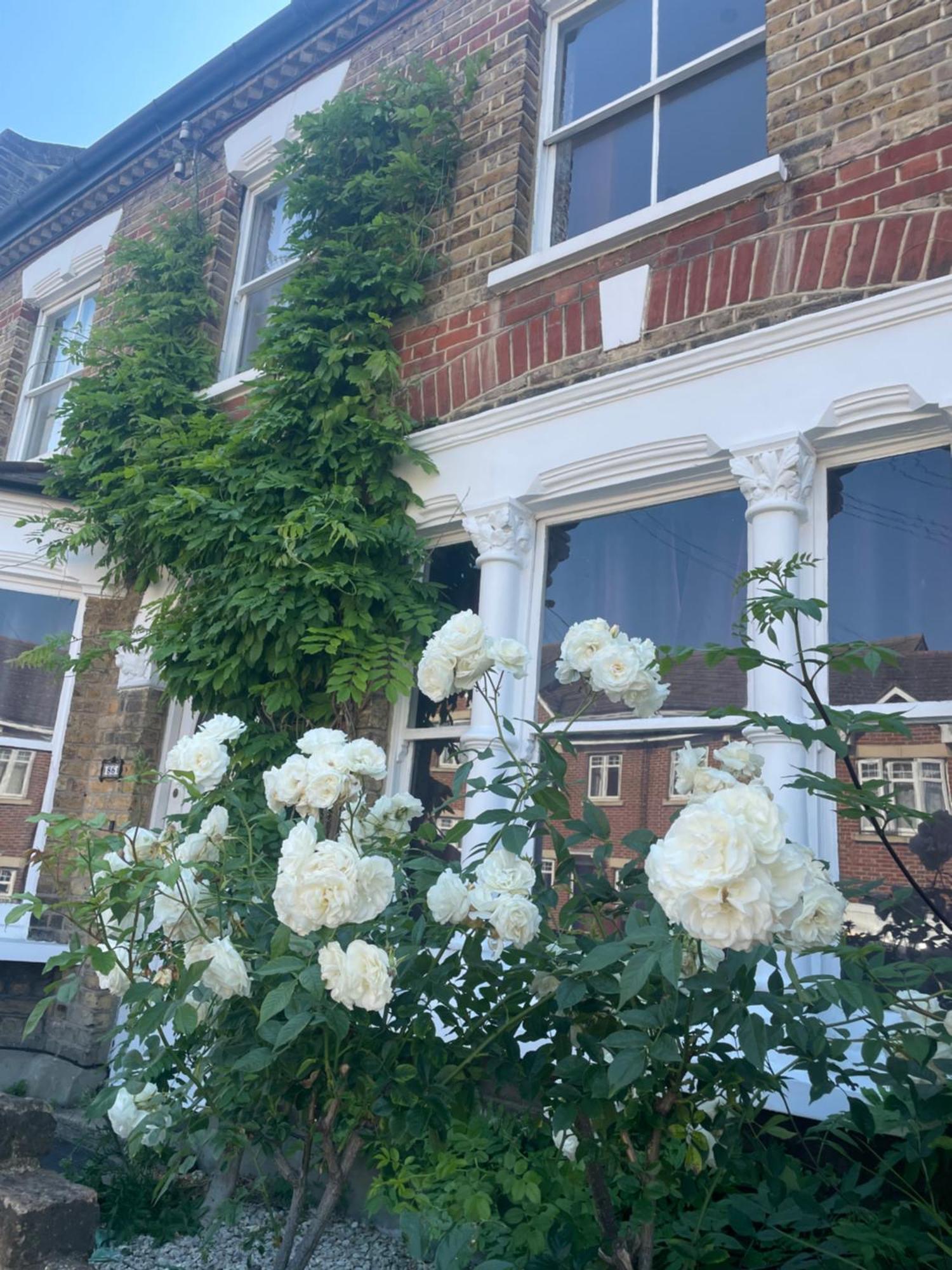 Traditional English 4 Bedroom Home In Greenwich Plumstead  Exterior photo